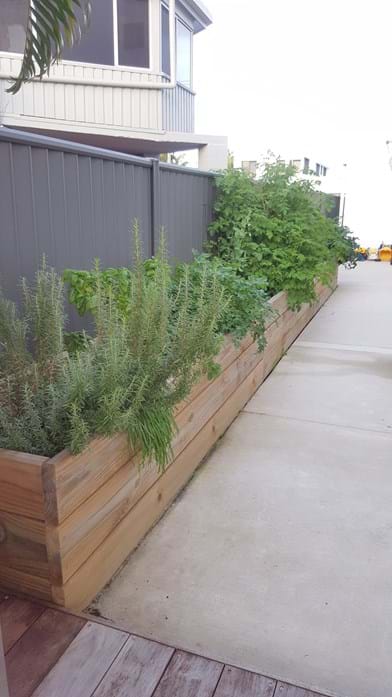 Raised Garden Beds | Kenchi Lifestyle Gardens | Gold Coast