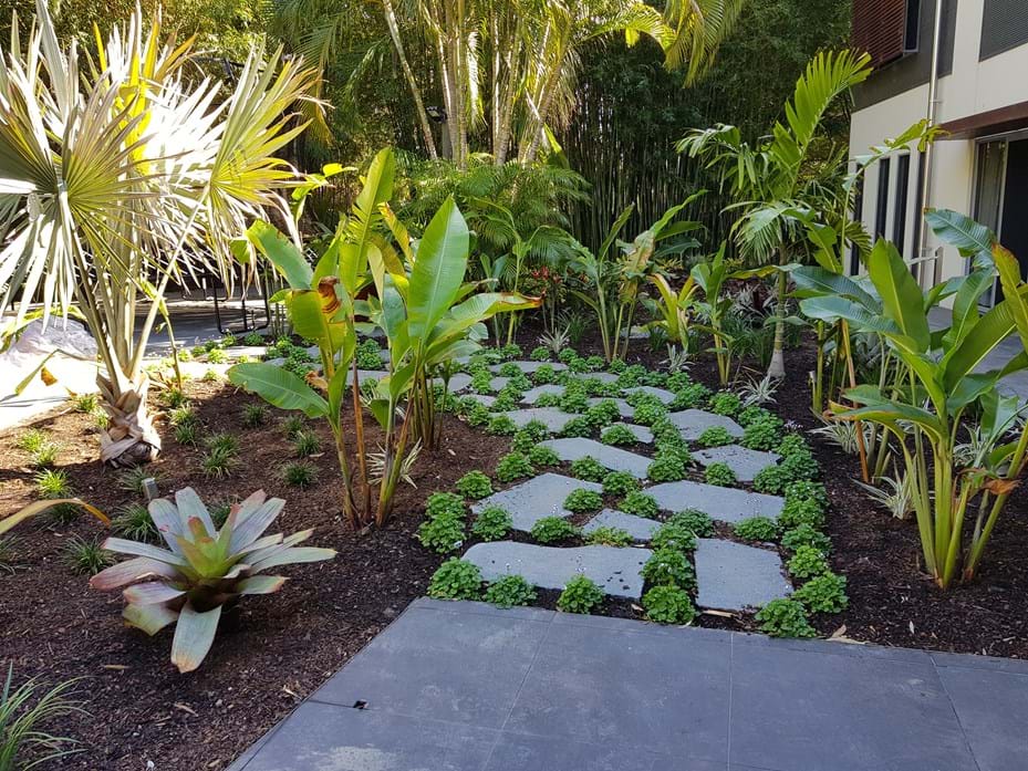 Pathways | Kenchi Lifestyle Gardens | Gold Coast