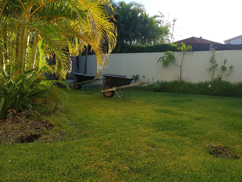 Recent Projects | Kenchi Lifestyle Gardens | Gold Coast