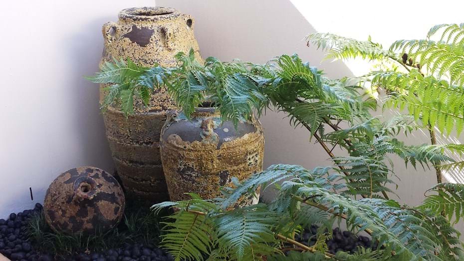 Pots | Kenchi Lifestyle Gardens | Gold Coast