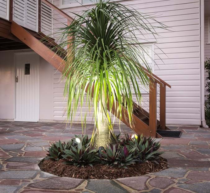 Lighting | Kenchi Lifestyle Gardens | Gold Coast