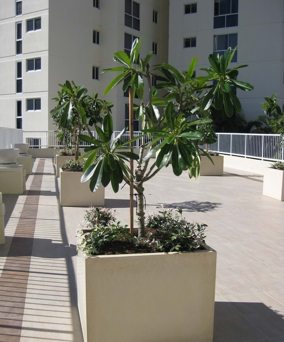 Pots | Kenchi Lifestyle Gardens | Gold Coast