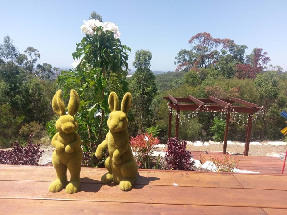 Recent Projects | Kenchi Lifestyle Gardens | Gold Coast