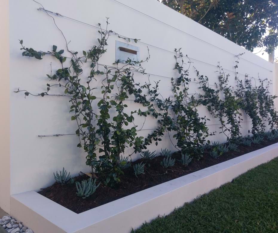 Privacy Screens | Kenchi Lifestyle Gardens | Gold Coast