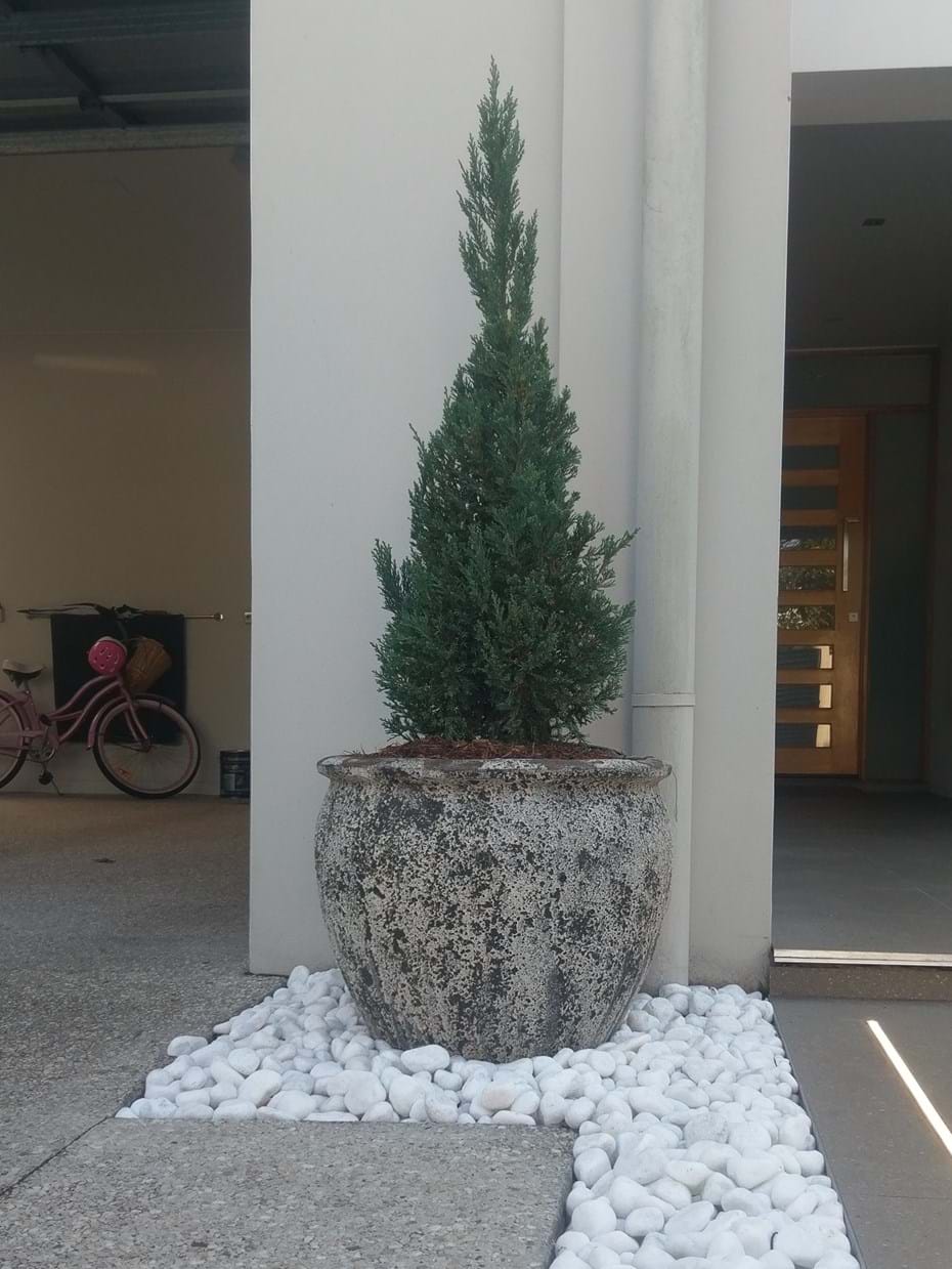 Pots | Kenchi Lifestyle Gardens | Gold Coast