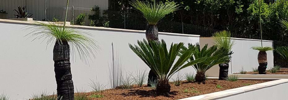 Recent Projects | Kenchi Lifestyle Gardens | Gold Coast