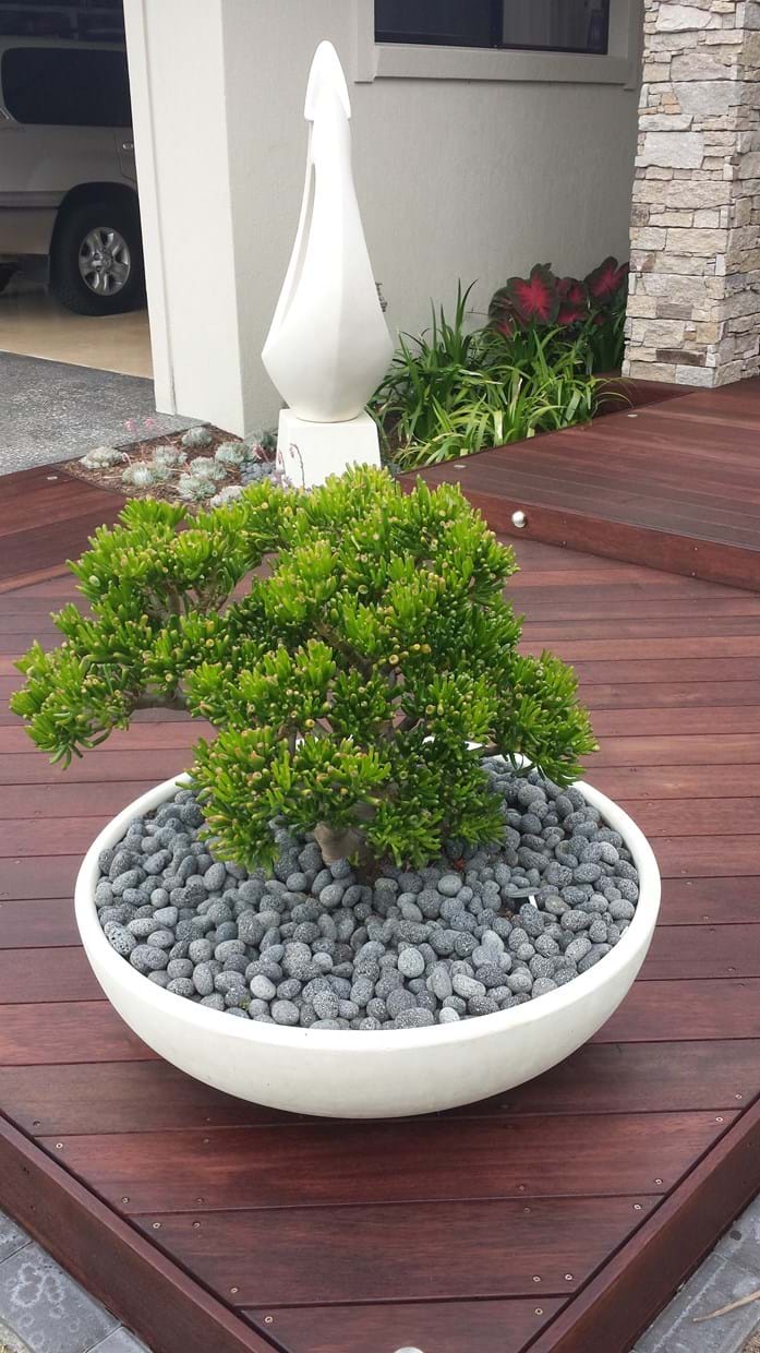 Pots | Kenchi Lifestyle Gardens | Gold Coast