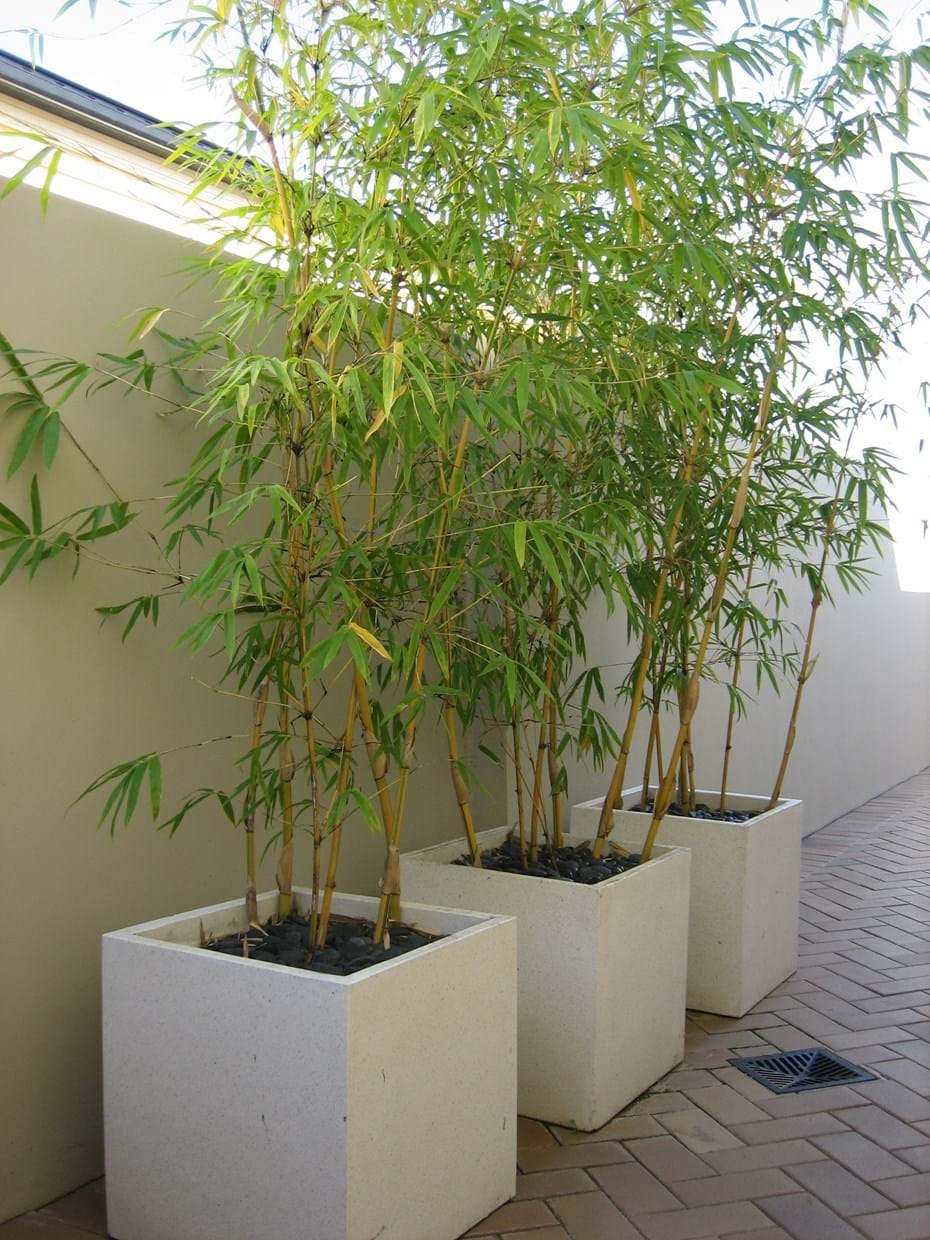 Pots | Kenchi Lifestyle Gardens | Gold Coast